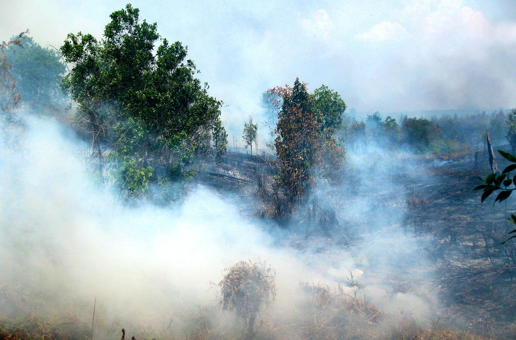 Kabut Asap Menguji Tanggung Jawab Bersama