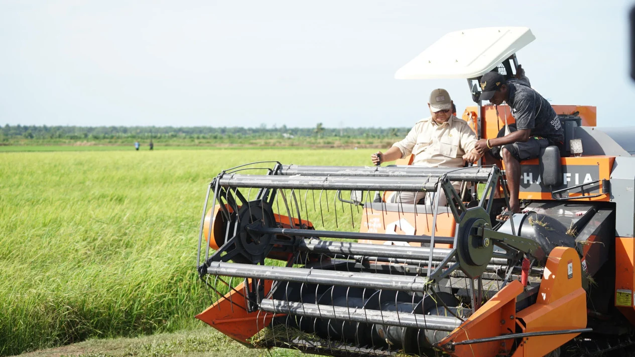 Merauke Menuju Lumbung Pangan Nasional: Peluang Besar, Risiko Besar