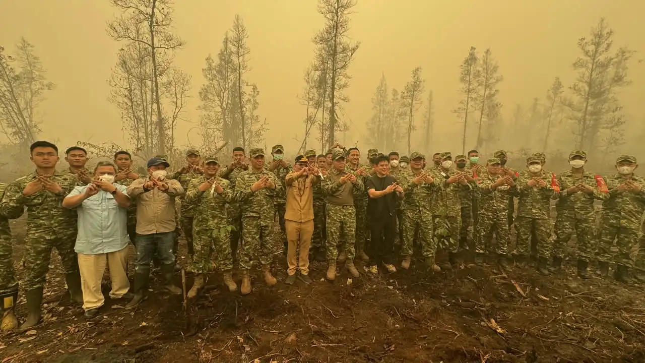 Penghijauan Pascakarhutla Harus Diikuti Perawatan dan Pencegahan