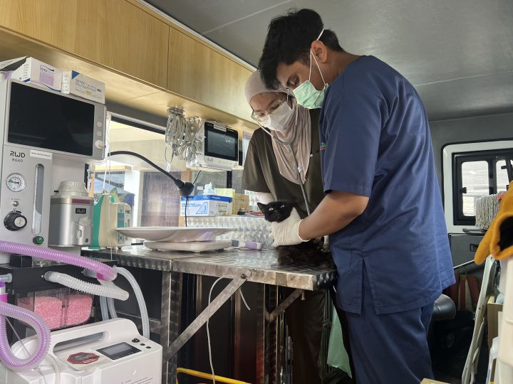 Jadwal Lengkap Mobil Klinik Hewan Keliling Jakarta: Lokasi dan Tips Persiapan