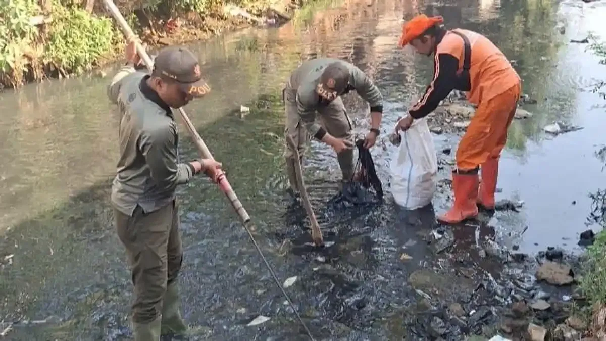264 Lowongan Padat Karya Penanganan Sampah Dibuka: Jadwal, Syarat, Upah