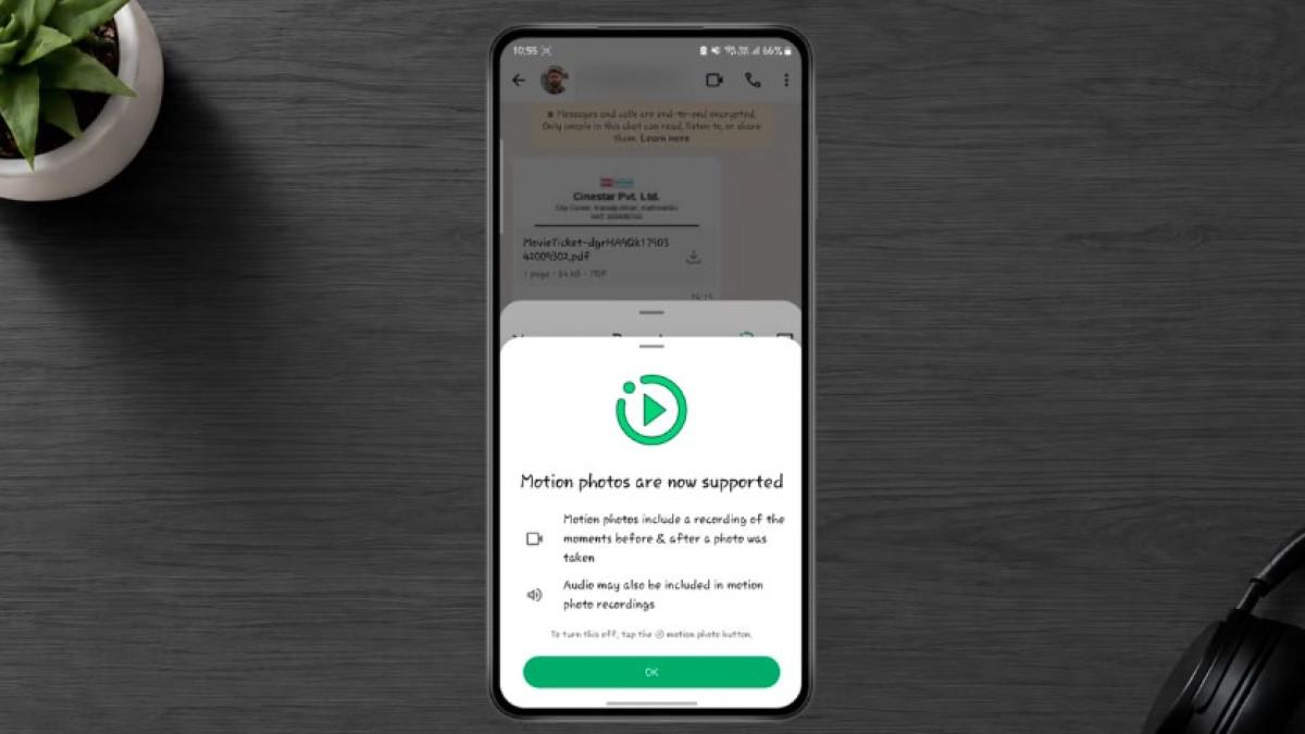 Bagaimana Cara Mengirim Live Photos di WhatsApp agar Efek Geraknya Tetap Terlihat