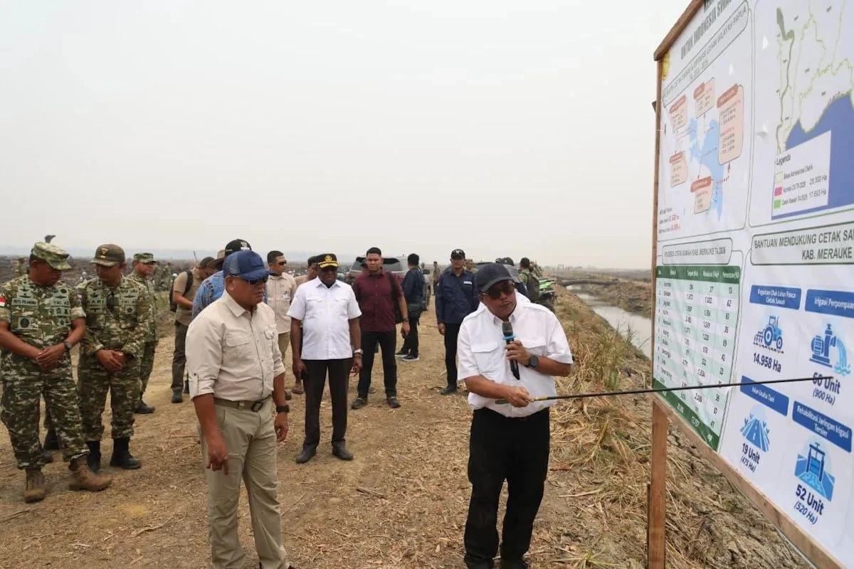 Cetak Sawah Dipercepat, Produksi Petani Menentukan Masa Depan Merauke
