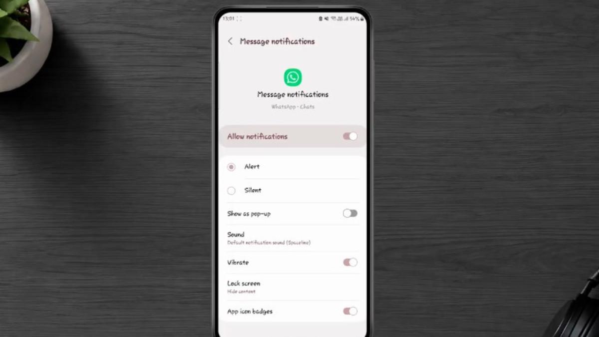 Sembunyikan Pratinjau Pesan dan Batasi WhatsApp Sementara