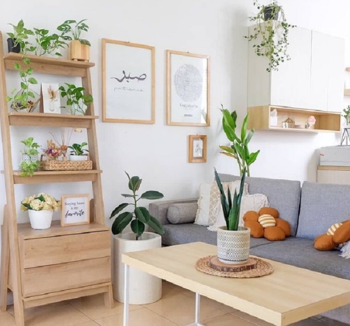 Tanaman Hias Indoor Kecil untuk Ruang yang Lebih Segar dan Lega