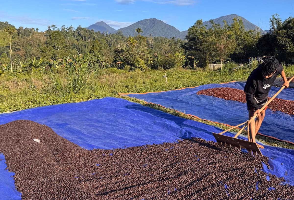 KUR Rp260 Triliun: Kredit Rakyat Mengalir ke Usaha Produktif