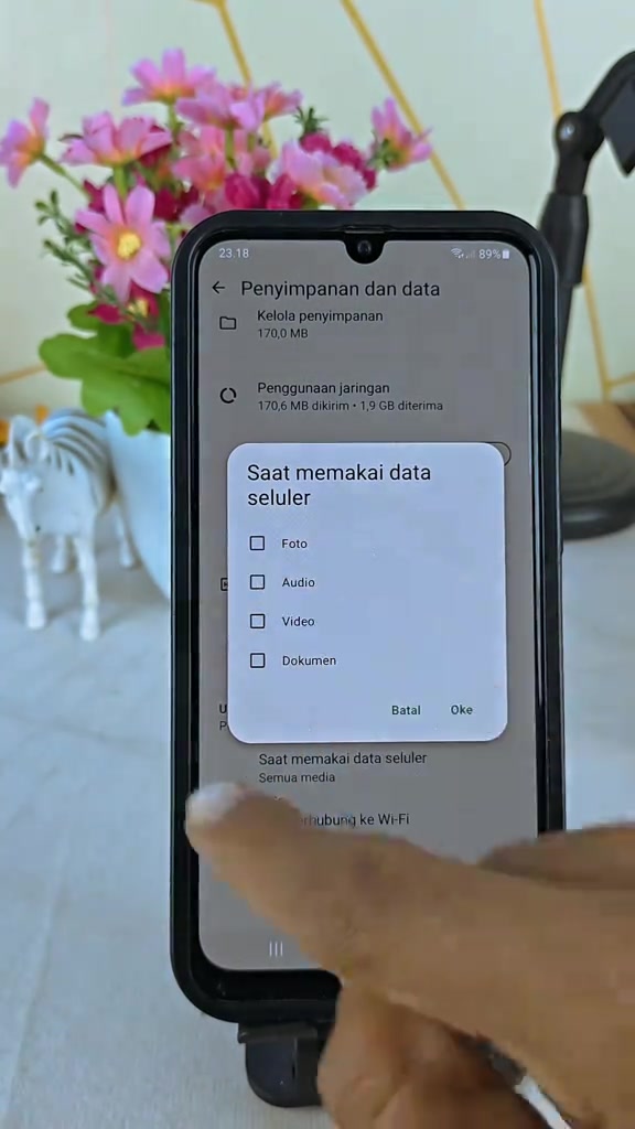 Pilihan unduh otomatis WhatsApp untuk foto, audio, video, dan dokumen