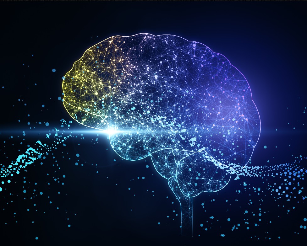 Cara UKM Memilih AI Lokal dan Agentic AI untuk Bisnis
