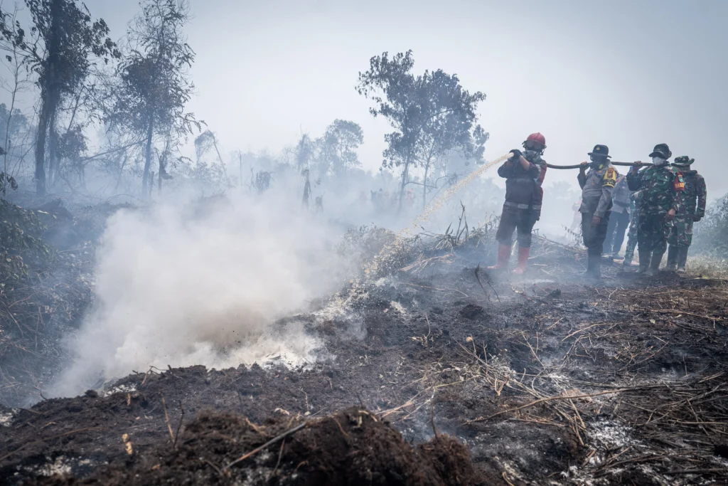 Revisi UU Kehutanan dan Pencegahan Jadi Kunci Hadapi Karhutla