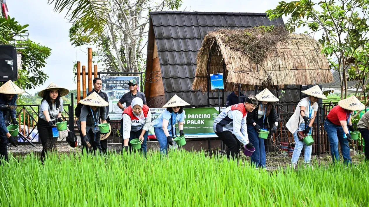 Energi Surya dan Mikrohidro Menjaga Pengairan Sawah