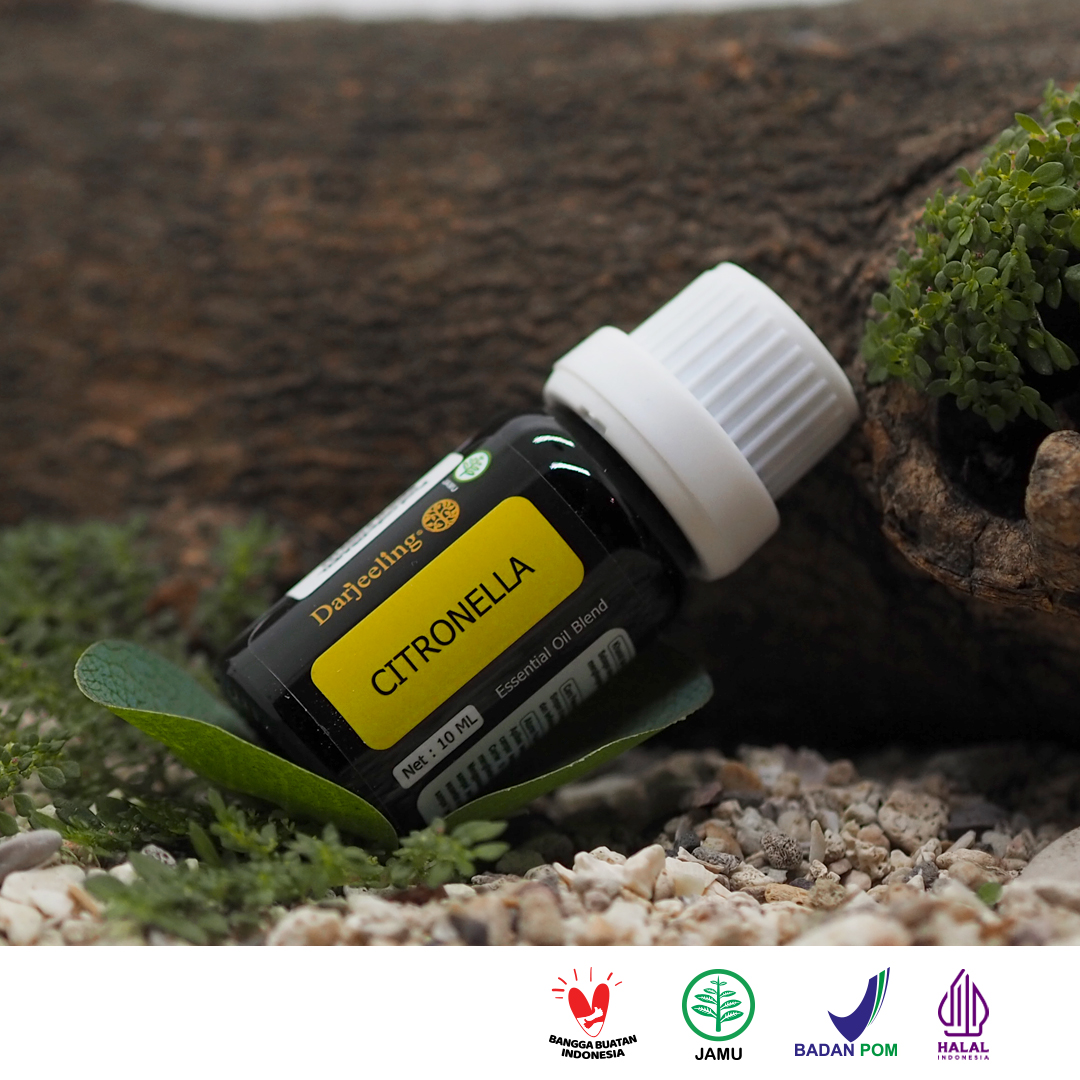 Harga Baru Turun: 10ml Darjeeling