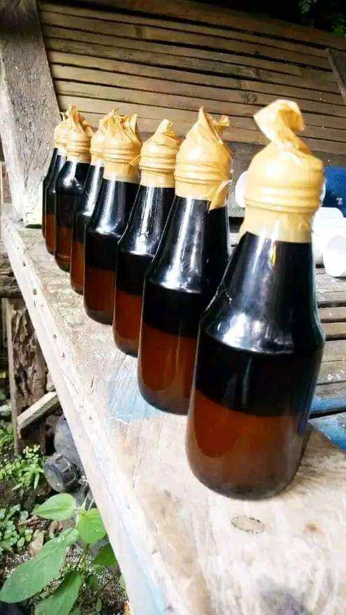 Harga Baru Turun: minyak urut asli