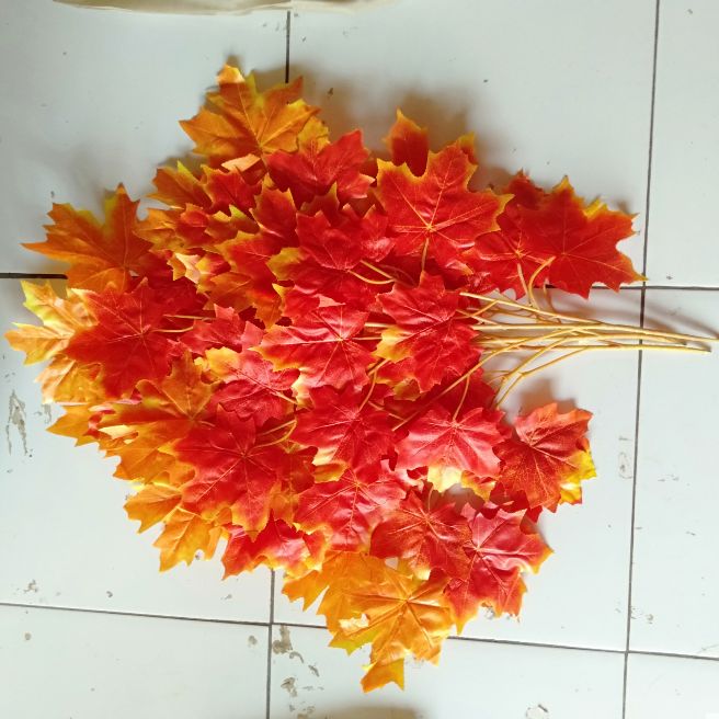 Turun 30%: daun mapel oren kanada/daun