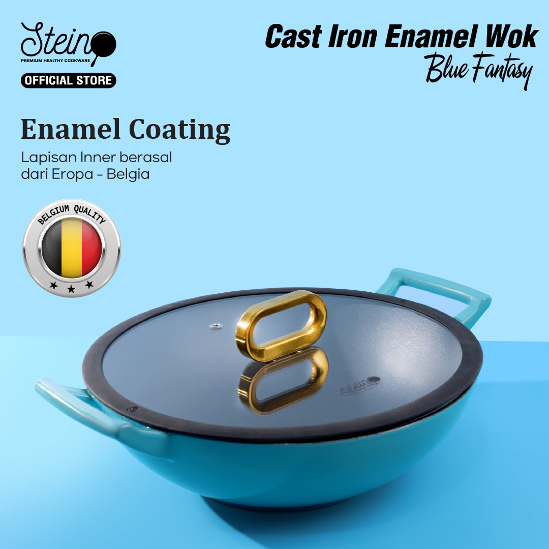 Turun 24%: STEIN Cast Iron Wok Inner