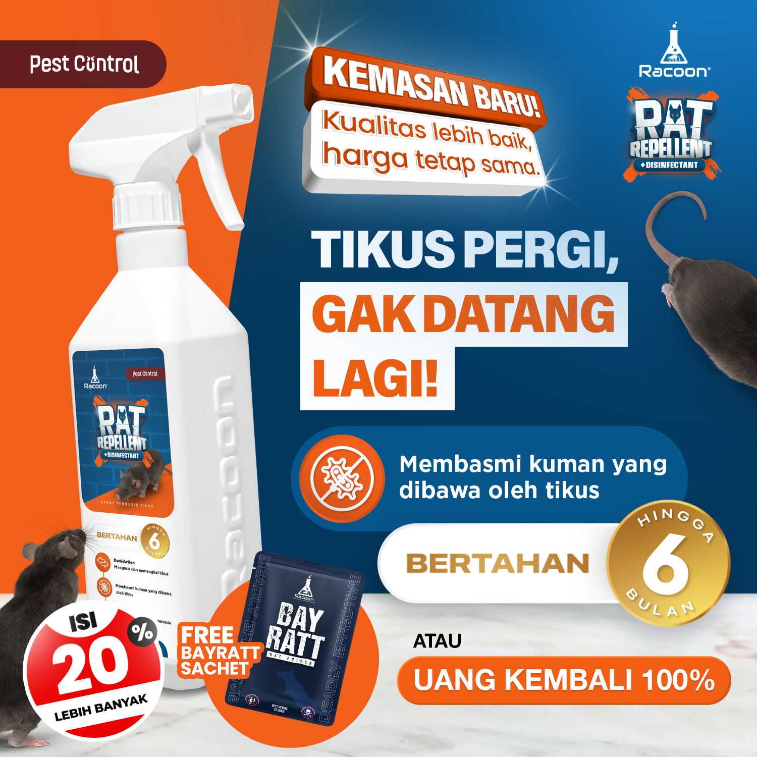 Turun 37%: Racoon Pengusir Tikus +