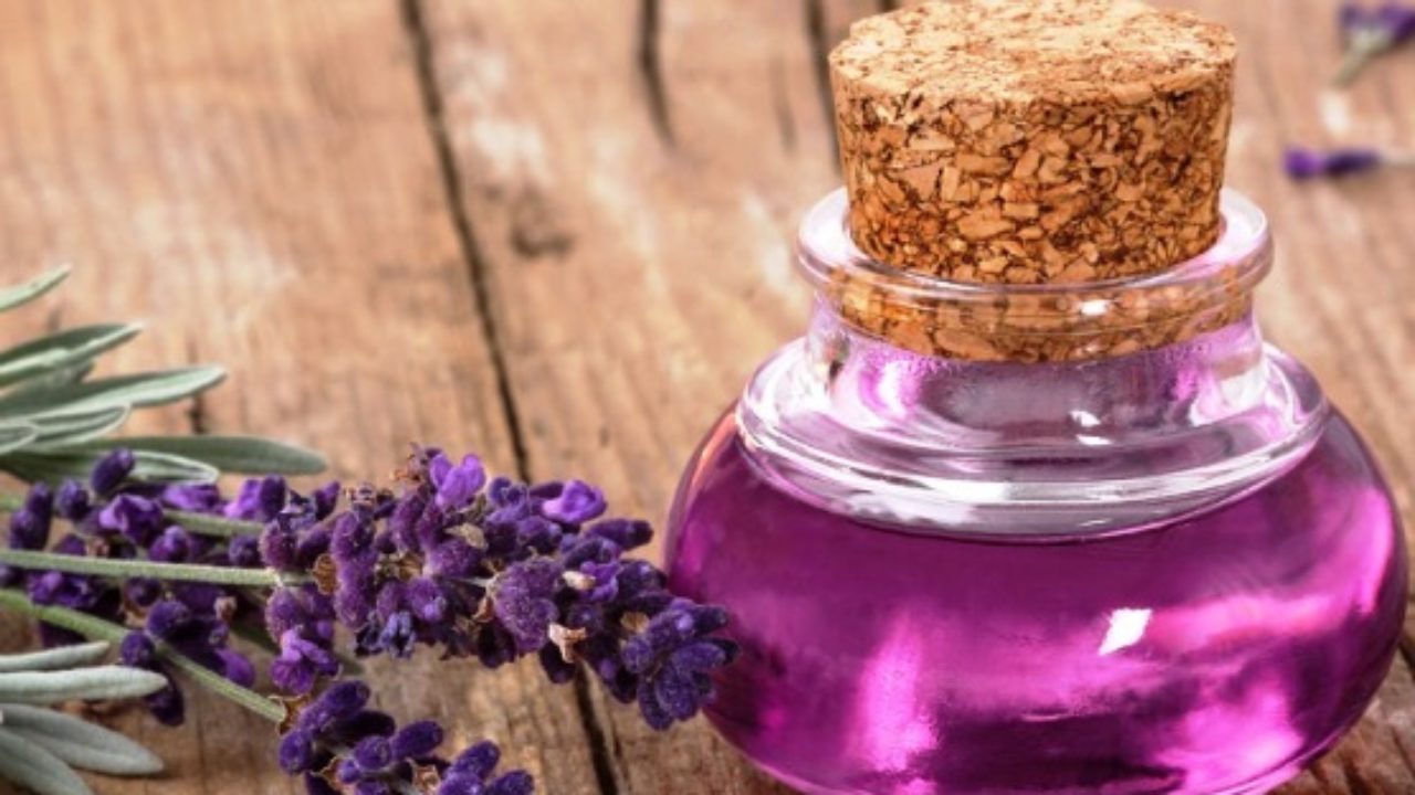 Turun 55%: Minyak Lavender Murni Ukuran