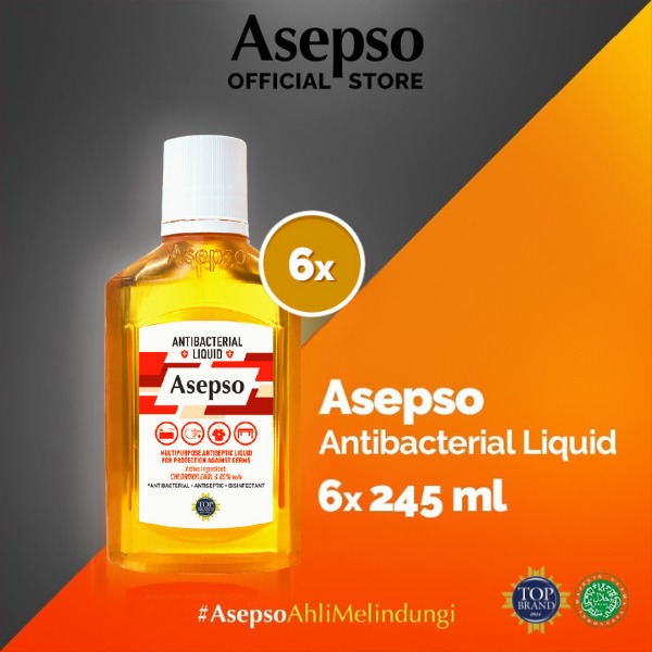 Harga Baru Turun: ASEPSO BUNDLING 6 PCS