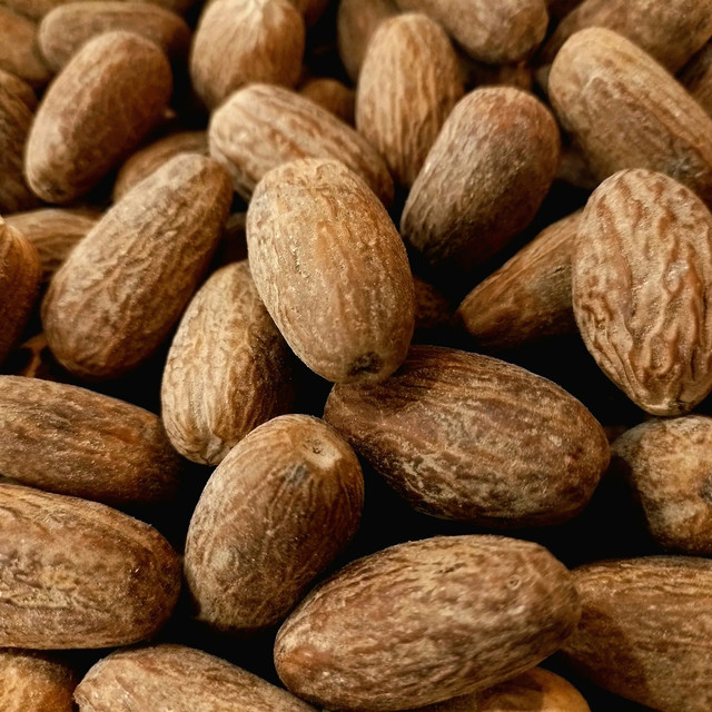 Sejarah Kelam di Balik Aroma Harum Biji Pala Kepulauan Banda