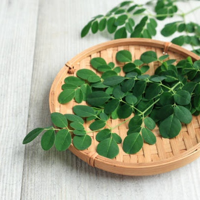 Manfaat Mengonsumsi Daun Kelor Untuk Kesehatan