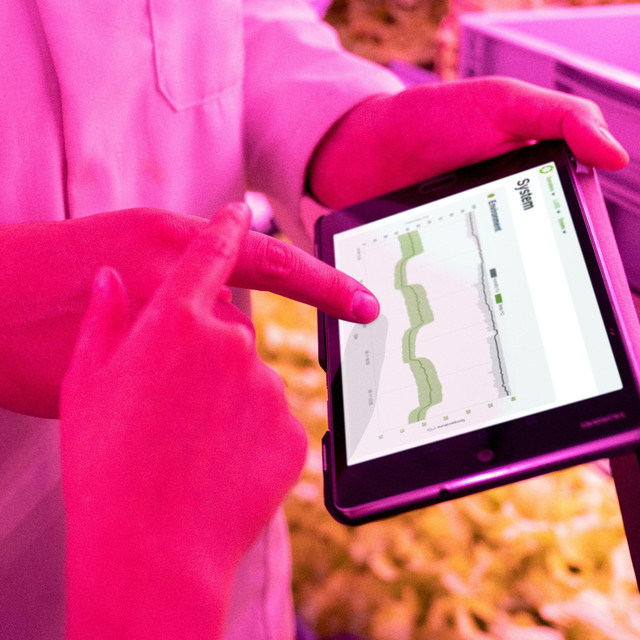 Maksimalkan Produktivitas Kerja Modern dengan Layar Pintar