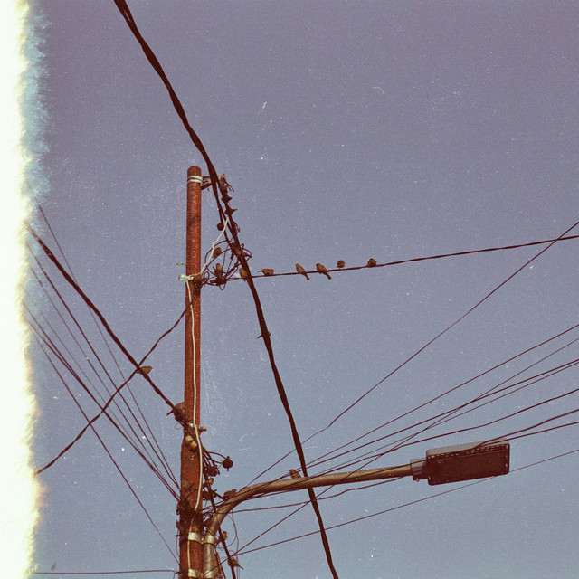 Mana yang Lebih Bagus untuk Cadangan Listrik? Portable Power Station vs Genset?