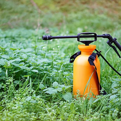 Tips Semprotan Tanaman agar Tidak Merusak Daun Halus