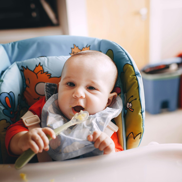 Panduan Memilih Food Processor MPASI Terbaik untuk Orang Tua Modern