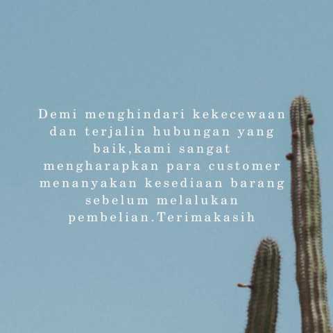 MITZUDA VN 579 net voli Image2