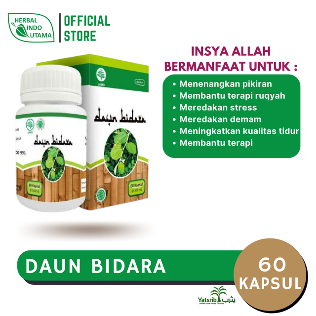 KAPSUL DAUN BIDARA | Membantu Terapi dan Menenangkan Pikiran