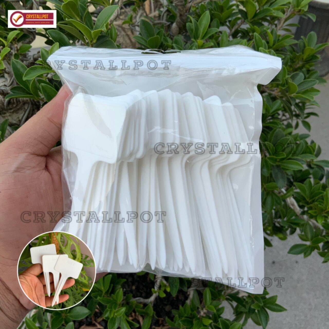 50 pcs label tag TANCAP  tanaman warna putih name tag - PACK ISI 50 PCS TANCAP