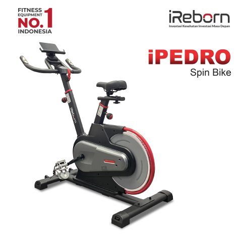 Sepeda Statis Spin Bike iReborn iPedro - Alat Fitness Gym Olahraga Rumahan