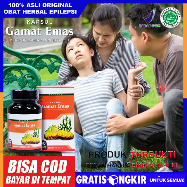 Obat Untuk Epilepsi Yang Aman Pada Anak Dan Dewasa Mengatasi Epilepsi Kejang Kejang Air Liur Berbusa Gangguan Kesadaran Ayan Gejala Psikis Sekalor Mengobati Penyakit Epilepsi Kambuhan Herbal Ibu Hamil Gamat Emas Kapsul Asli Alami