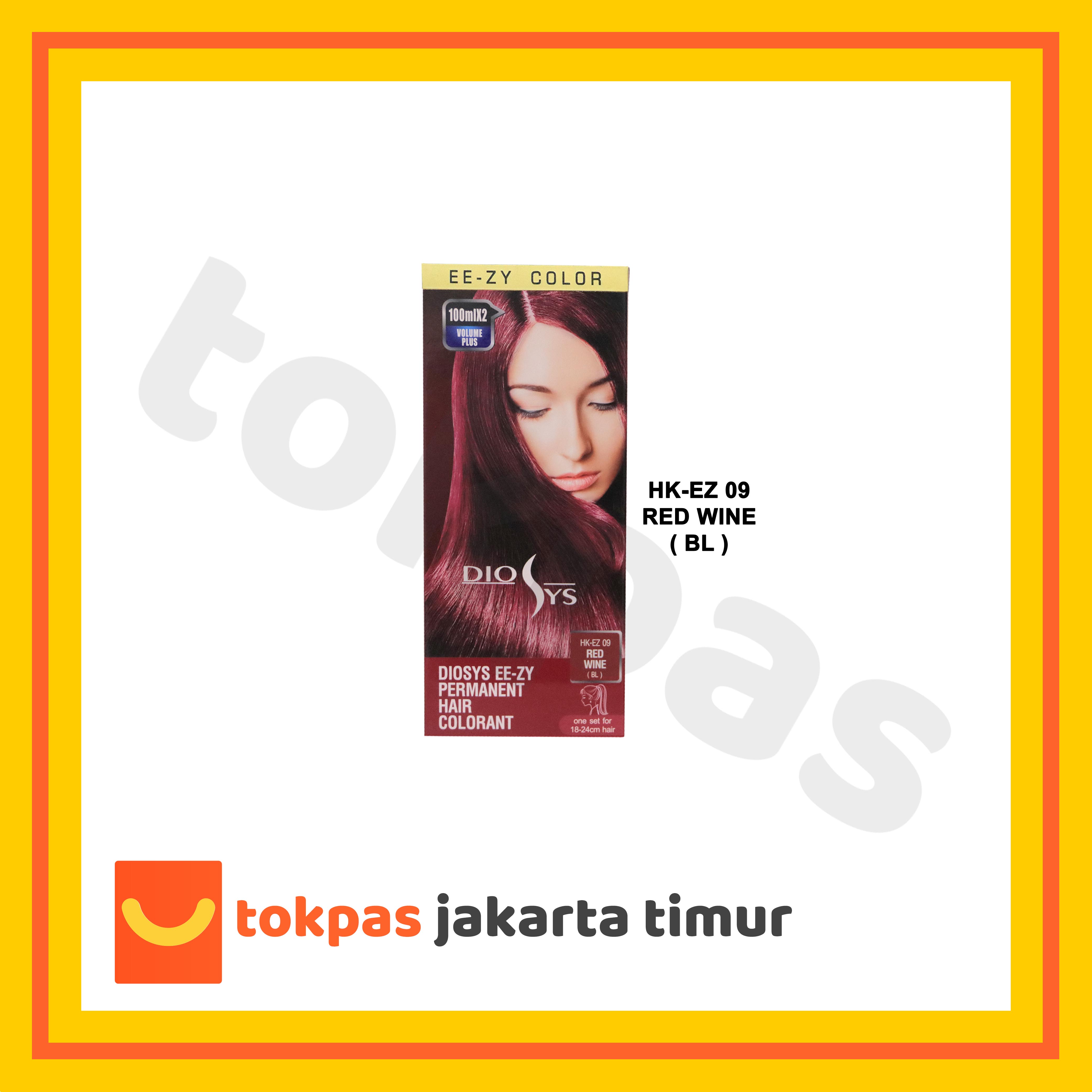 Cat Rambut / Pewarna Rambut Diosys EE-ZY Permanent Hair Colouring Set 100 ml