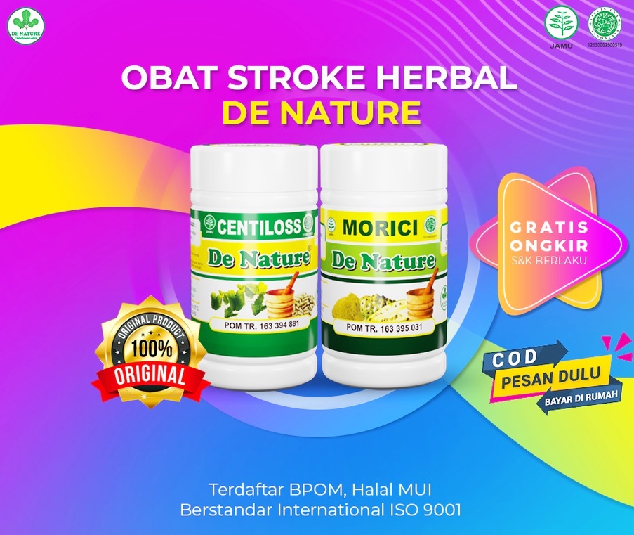 Obat Stroke Paling Ampuh Sebelah Kiri Kanan Herbal Jamu Godok Penyakit Struk Ringan Berat Ramuan Alami Pemulih Stroke Wajah Syaraf Stroke Kejang Stroke Lumpuh Pasca Stroke Gejala Stroke Parah Terapi T