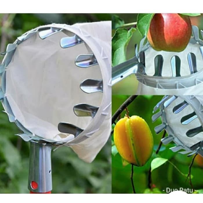 Alat Pemetik Buah Metal Fruit Picker Tanpa Tongkat