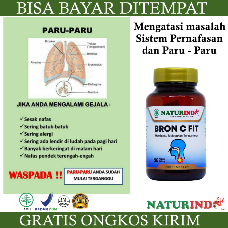 BRON C FIT Obat Flu Batuk NATURINDO Obat Herbal Sakit Tenggorokan Sesak Nafas Sinusitis Asma TB