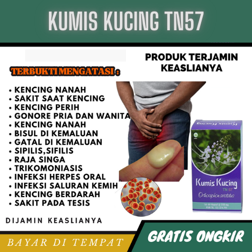 Obat Herbal Sipilis Pria Wanita Kencing nanah Raja Singa Gonore Sakit Saat Buang Air Kecil Infeksi Jamur Infeksi Saluran Kencing Kutil Kemaluan Alami Kapsul Kumis Kucing TN57