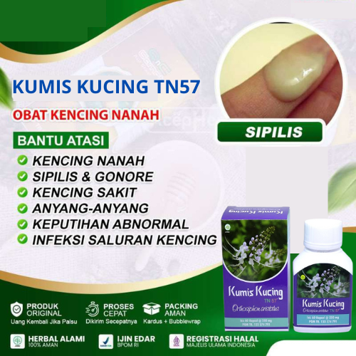 Obat Sifilis Kencing Nanah Gonore Trikomoniasis Klamidia Infeksi Kapsul Kumis Kucing TN57