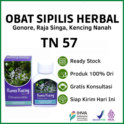 Obat Herbal Khusus Penyakit Kelamin Sipilis Gonore ISK Kencing Bernanah Kumis Kucing TN57