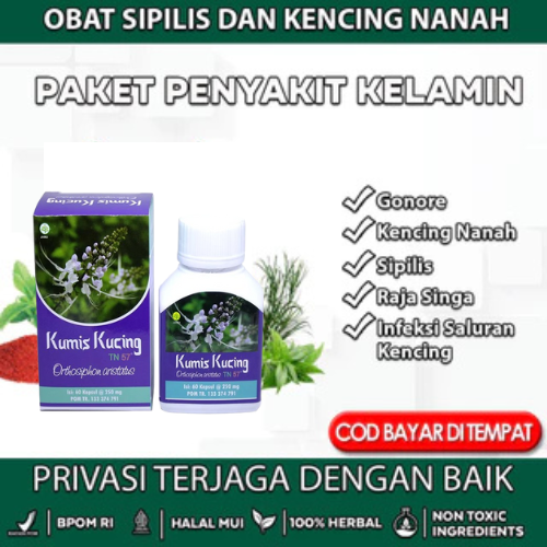Obat Kencing Bernanah Obat Penis Keluar Nanah Obat Gonore Kencing Nanah Obat Sipilis Sifilis Sipilis Obat Nyeri Kencing Obat sakit kencing dan perih Obat Kencing sakit Kapsul Kumis Kucing TN57