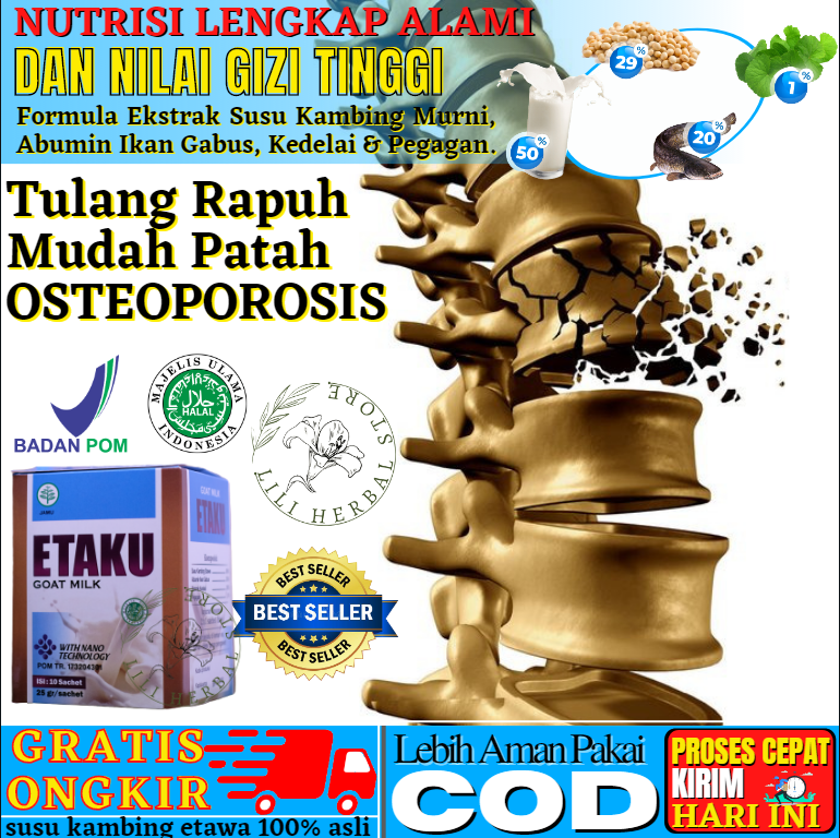 Obat Tulang Rapuh Susu Herbal Tinggi Kalsium Untuk Mengatasi Masalah Pengapuran Tulang Osteoporosis Tulang Keropos Retak Dan Patah Tulang Asli Original Walatra ETAKU Susu Kambing Alami Pencegah Penger