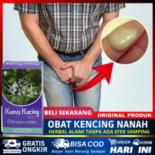 Obat Khusus Penyakit Sipilis Kencing Nanah Pria Sifilis Raja Singa Gonore GO Sepilis Sakit Keluar Nanah Kencing Berdarah Anyang Anyangan Isk Infeksi Saluran Kemih Herpes Kelamin Untuk Pria Wanita Herb