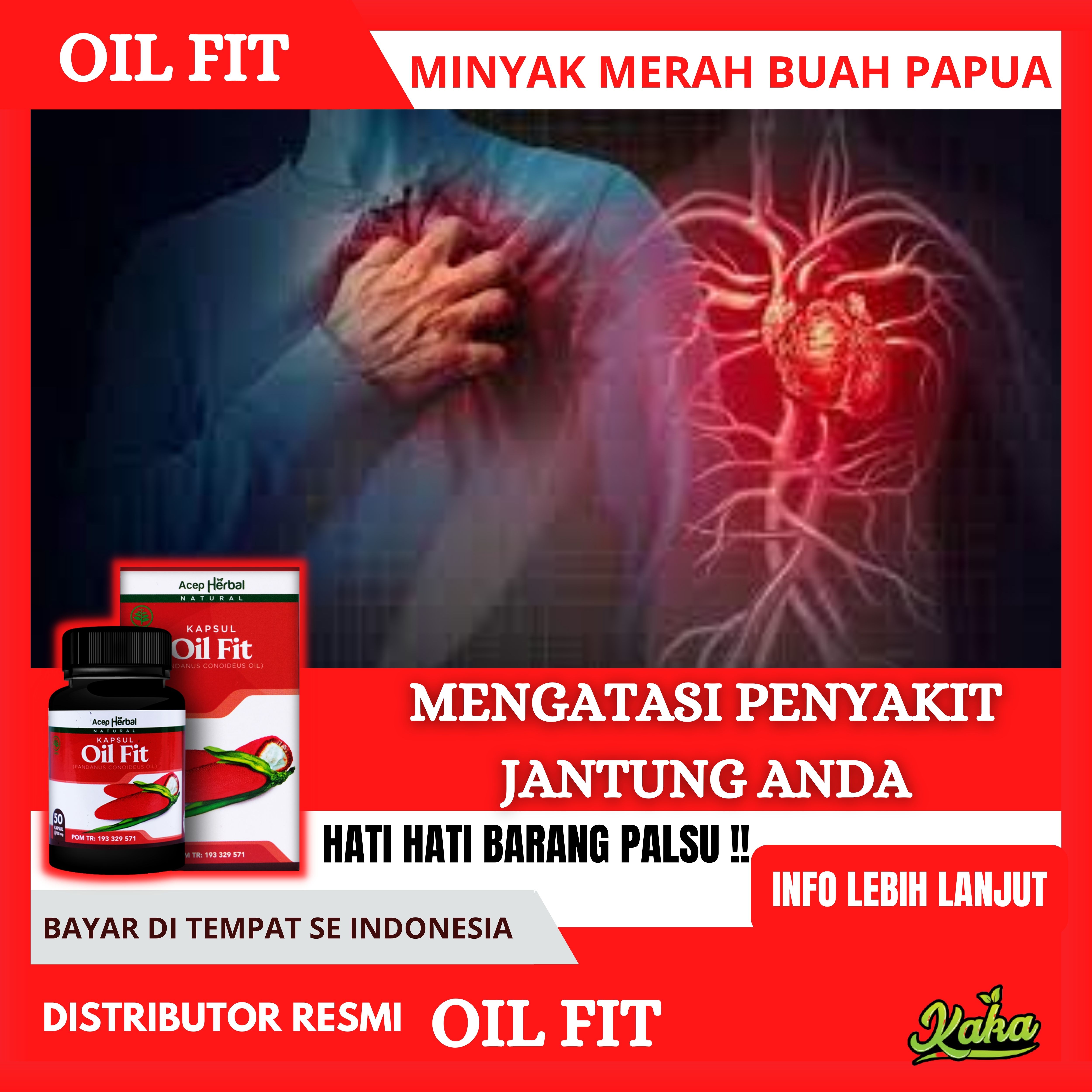 Obat Jantung Koroner Bengkak Paru Paru Sesak Nafas Jantung Lemah Pembengkakan Jantung Dengan Oil Fit Kapsul Herbal Alami Tanpa Efek Samping