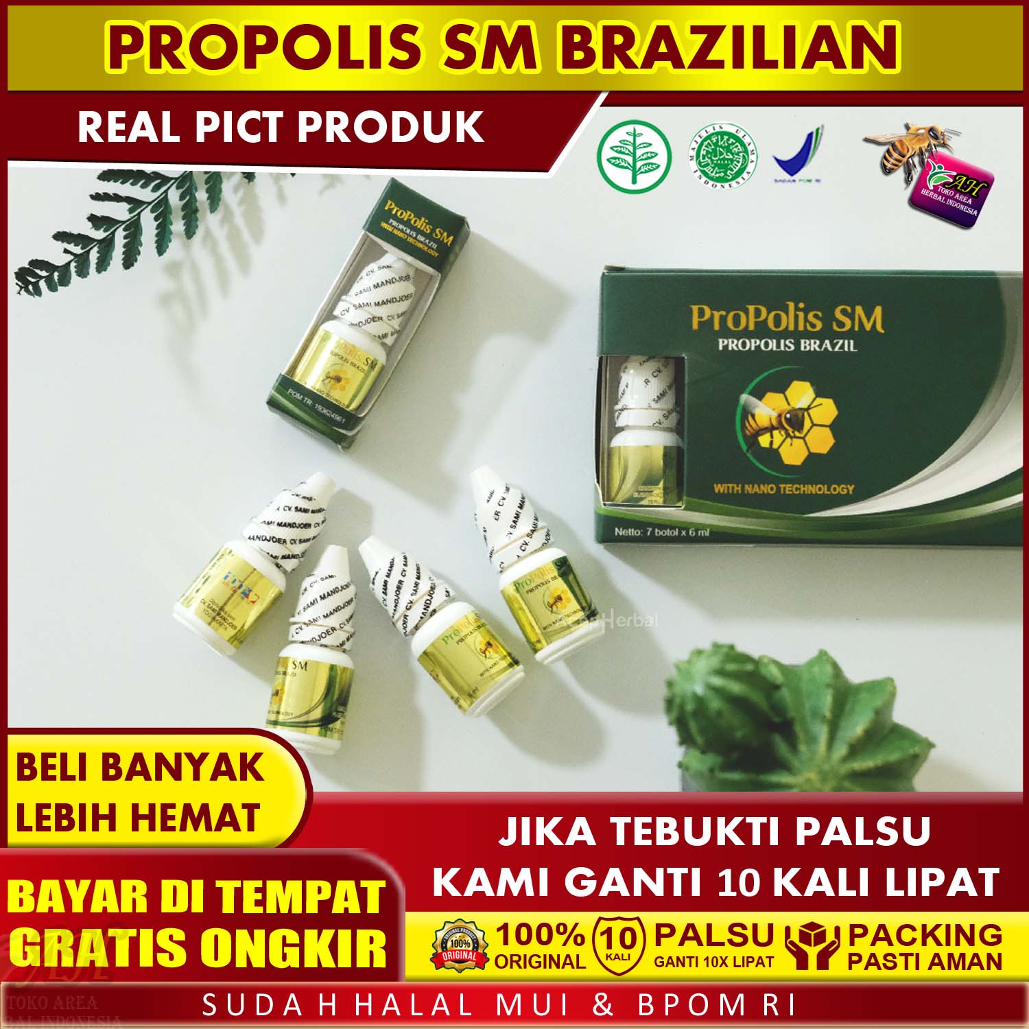 Obat Tetes Telinga Kemasukan Air Bayi Anak Dewasa Keluar Cairan Kuning Berair Bau Bernanah Congek Berdenging Telinga Tersumbat Kotoran Telinga Susah Keluar Menumpuk - Walatra Propolis SM Brazil