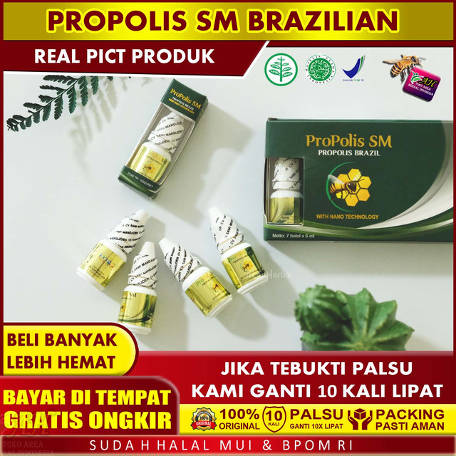 Obat Tetes Telinga Kemasukan Air Bayi Anak Dewasa Keluar Cairan Kuning Berair Bau Bernanah Congek Berdenging Telinga Tersumbat Kotoran Telinga Susah Keluar Menumpuk - Walatra Propolis SM Brazil