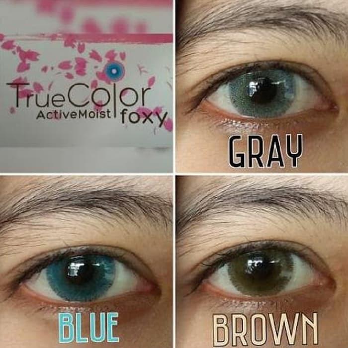 SOFTLENS FOXY Living Colour (GREYBROWNBLUE) 14.4mm
