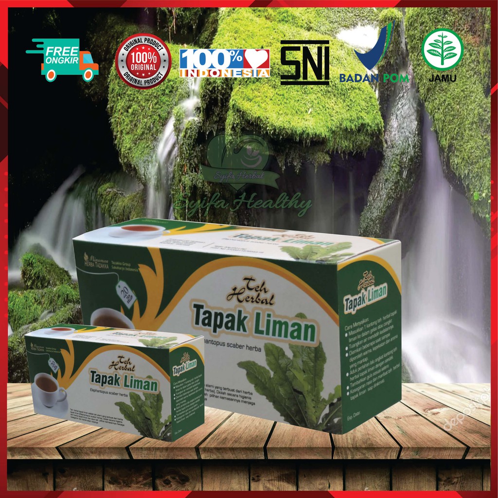 obat herbal khasiat ampuh teh tapak liman original tazakka alami tanpa efek samping berkualitas