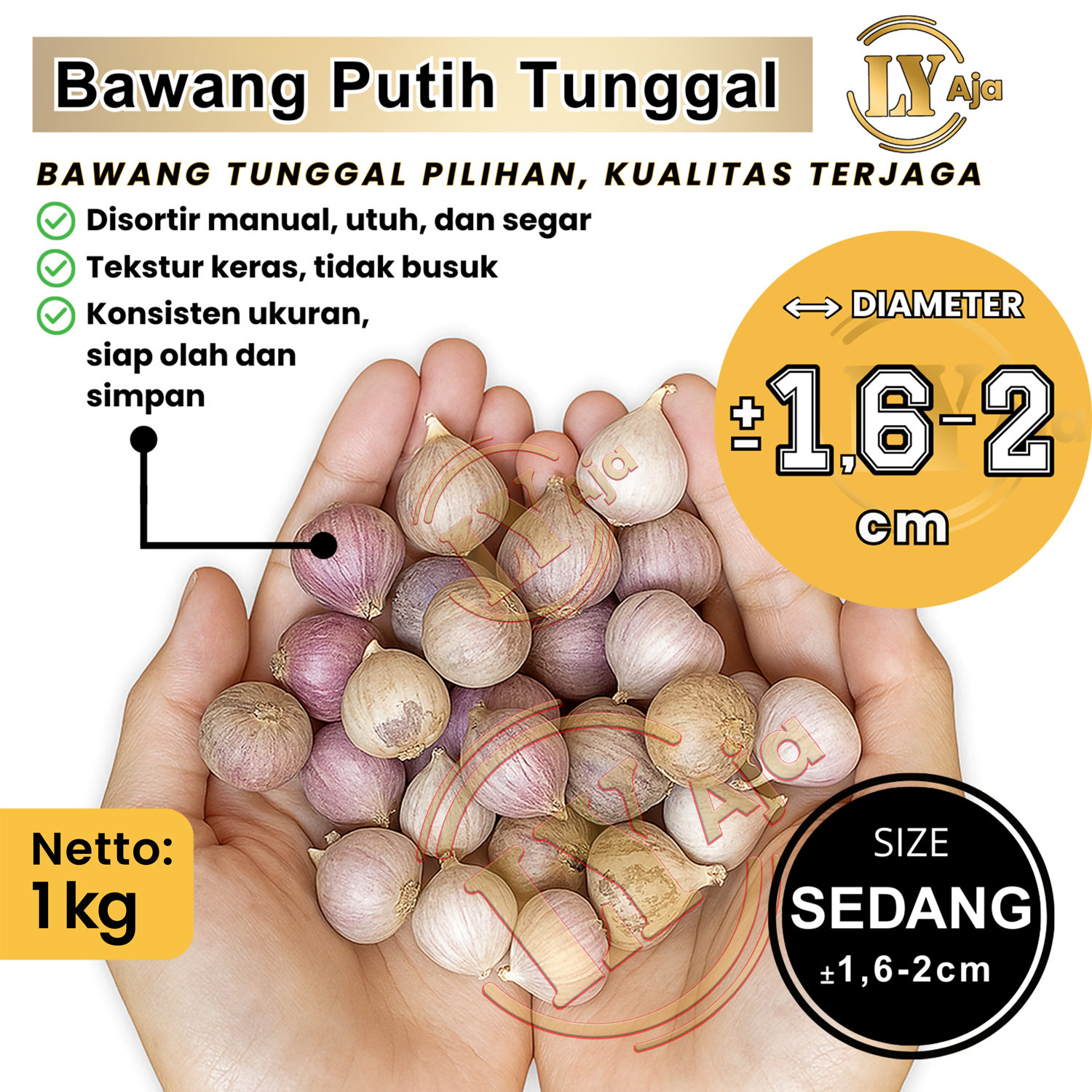 Bawang Putih Tunggal 1Kg  Premium Super Jumbo Besar Sedang Kecil LY Aja - Lanang