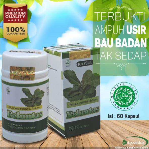 Obat Herbal ampuh cepat hilangkan bau badan secara alami KAPSUL herbal ekstrak DAUN BELUNTAS Tazakka resmi Terdaftar BPOM