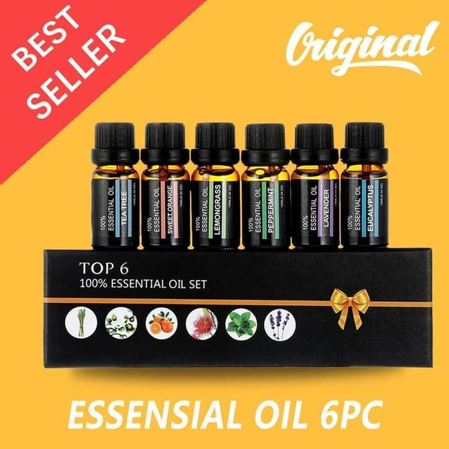 Top 6Pcs Set Spa Aroma Therapy 100% Essential Oils Humidifier DIffuser
